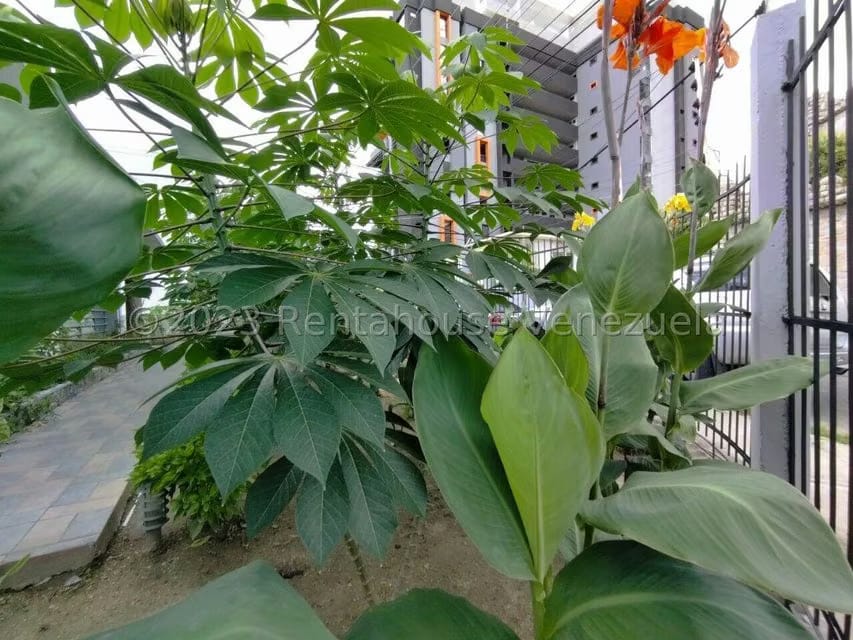 Casa (1 Nivel) en Venta en La Soledad, Aragua - 68