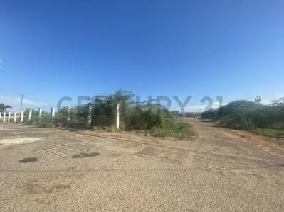 TERRENO CON POTENCIAL DE DESARROLLO EN SAN FRANCISCO, MARACAIBO - 5