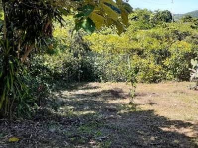 Venta Alquiler Galpon Terreno El Junquito KB02 - 3