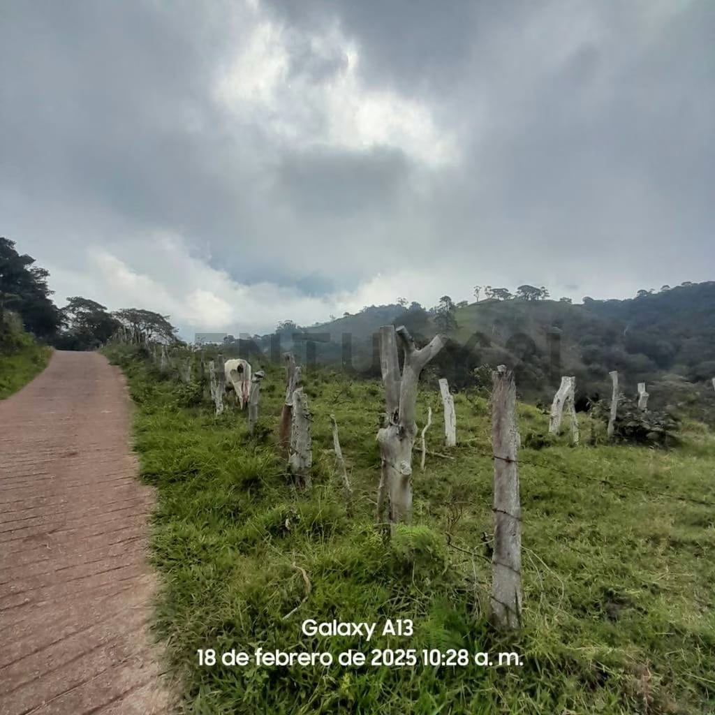 En Venta Terreno en El Fical - 2