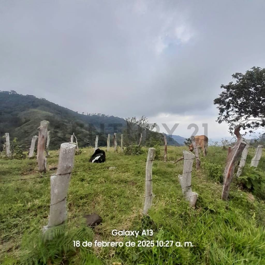 En Venta Terreno en El Fical - 4