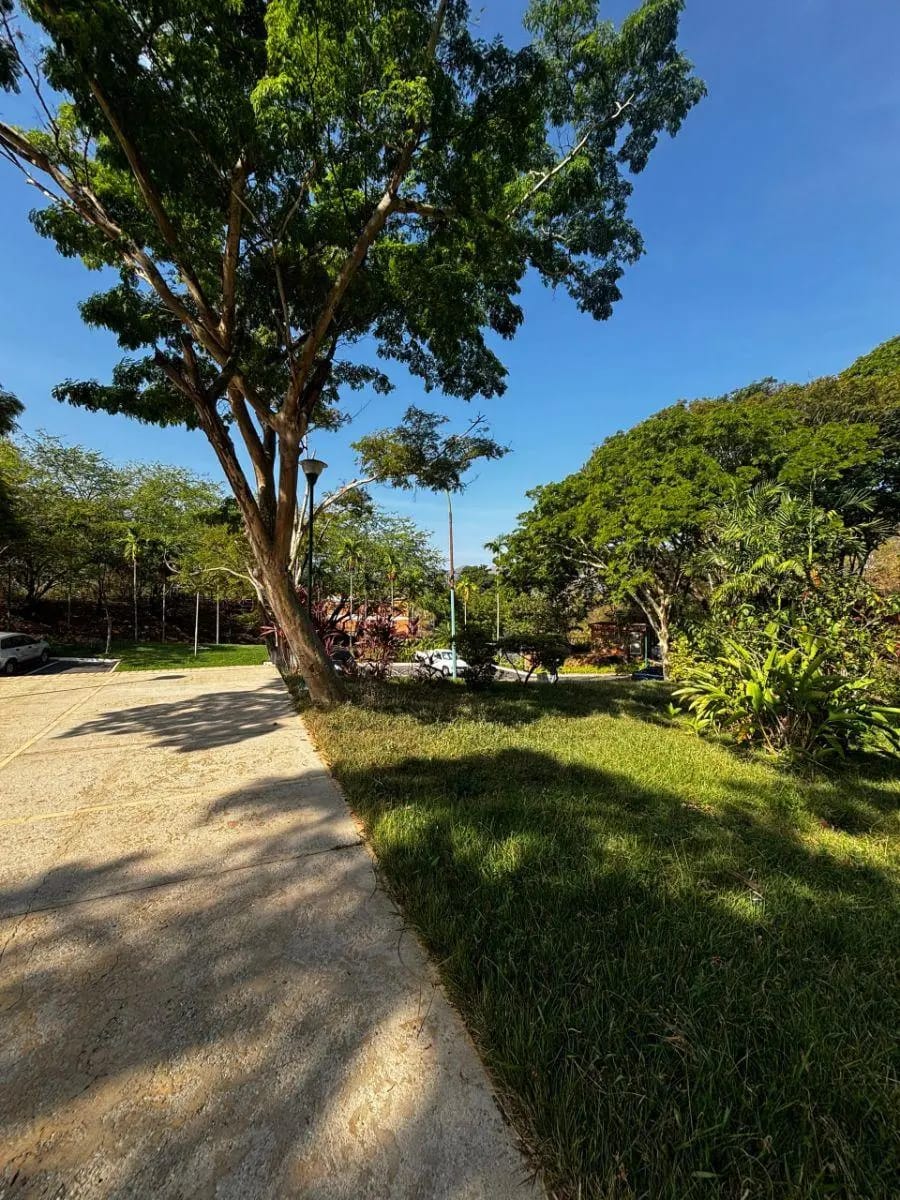 Apartamento en Alquiler en Valencia - 15