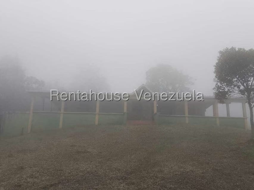 Terreno (Finca) en Venta en Centro, Tachira - 3