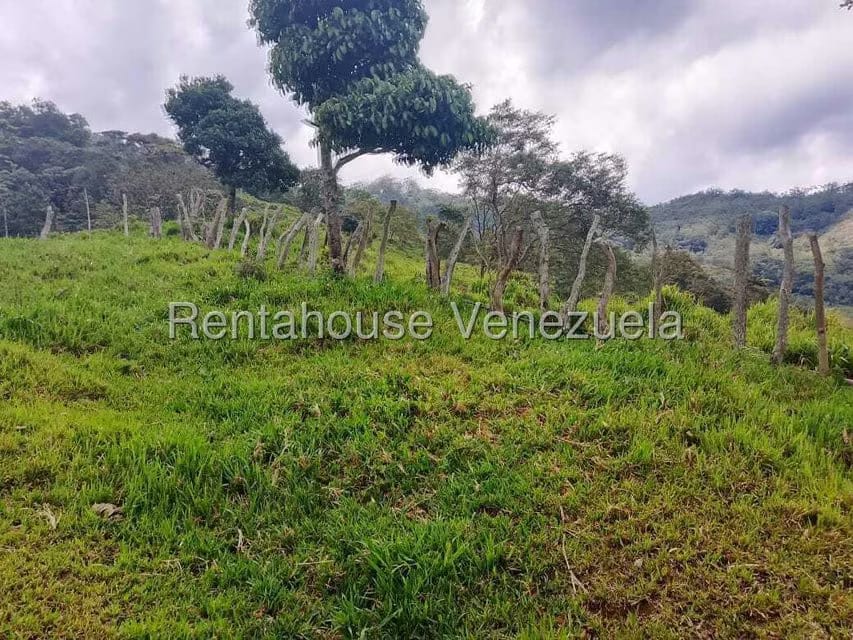 Terreno (Finca) en Venta en Centro, Tachira - 9