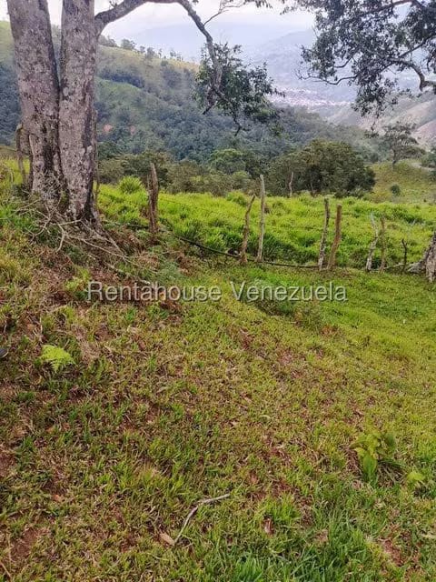 Terreno (Finca) en Venta en Centro, Tachira - 10