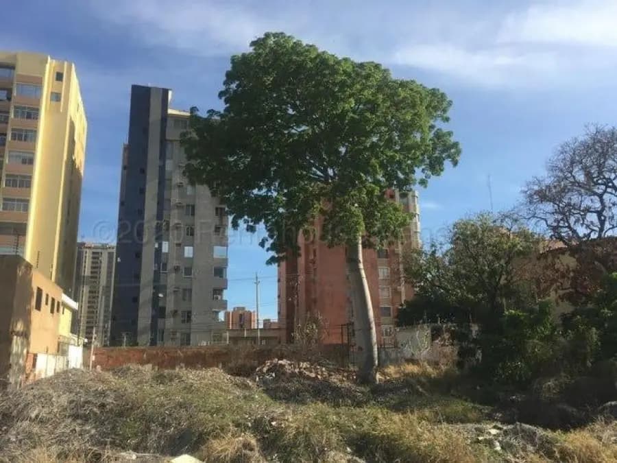 Terreno en Venta en olegari villalobos Maracaibo - 5