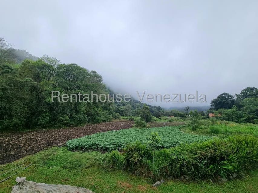 Terreno (Finca) en Venta en El Valle, Merida