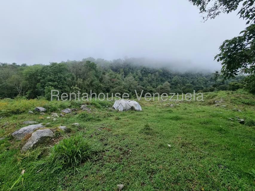 Terreno (Finca) en Venta en El Valle, Merida - 11
