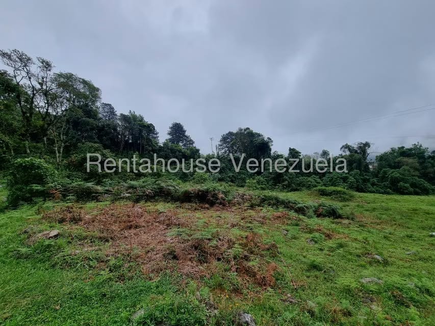 Terreno (Finca) en Venta en El Valle, Merida - 12