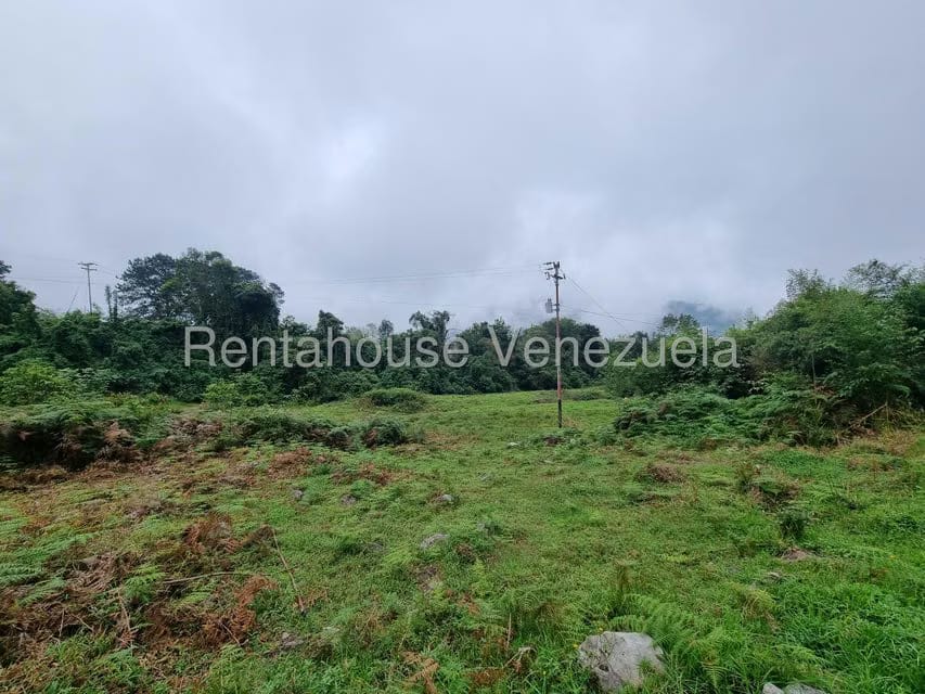 Terreno (Finca) en Venta en El Valle, Merida - 13