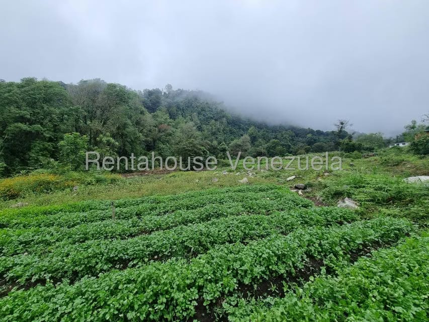 Terreno (Finca) en Venta en El Valle, Merida - 14