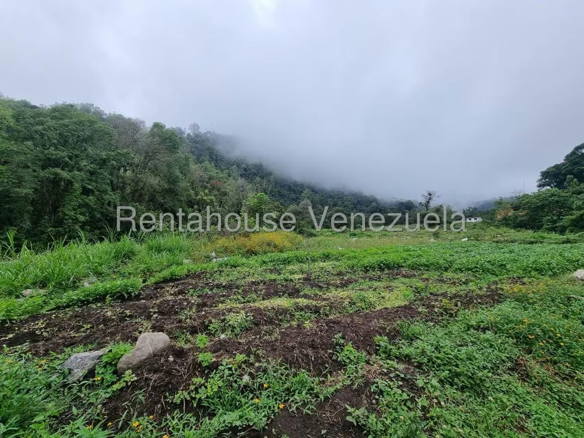 Terreno (Finca) en Venta en El Valle, Merida - 15