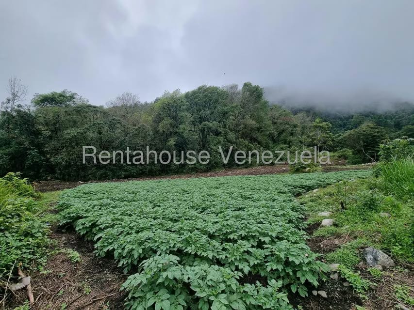 Terreno (Finca) en Venta en El Valle, Merida - 17