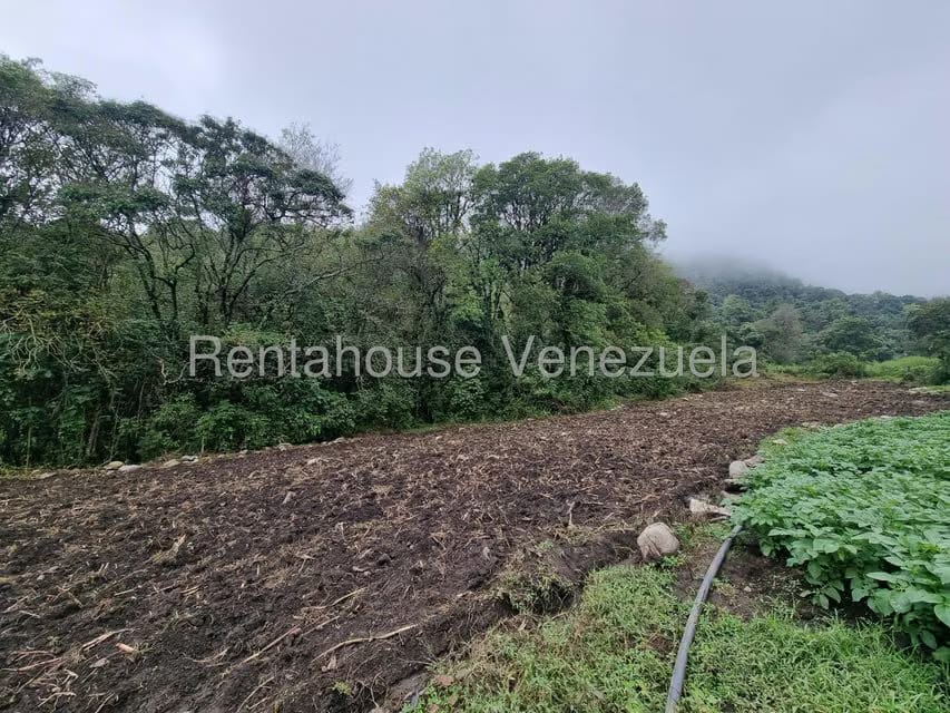 Terreno (Finca) en Venta en El Valle, Merida - 18