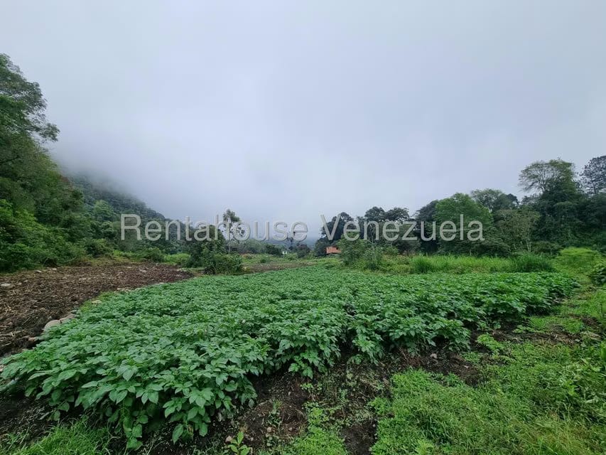 Terreno (Finca) en Venta en El Valle, Merida - 19