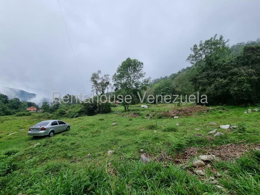 Terreno (Finca) en Venta en El Valle, Merida - 5