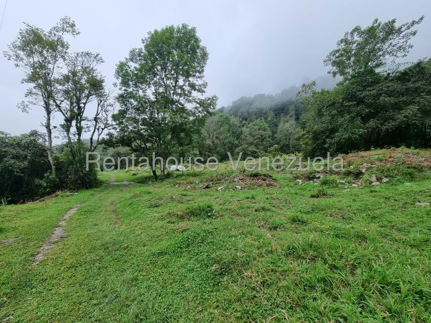 Terreno (Finca) en Venta en El Valle, Merida - 6