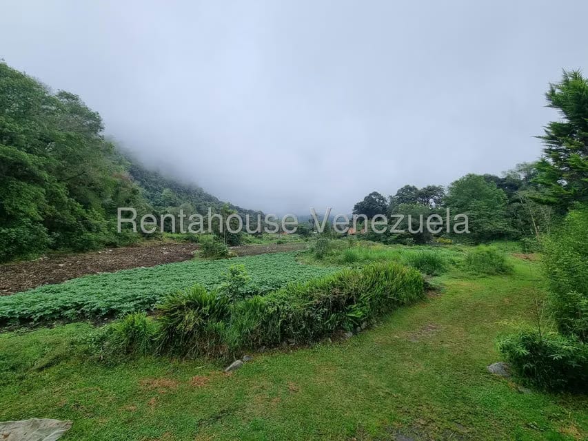 Terreno (Finca) en Venta en El Valle, Merida - 7