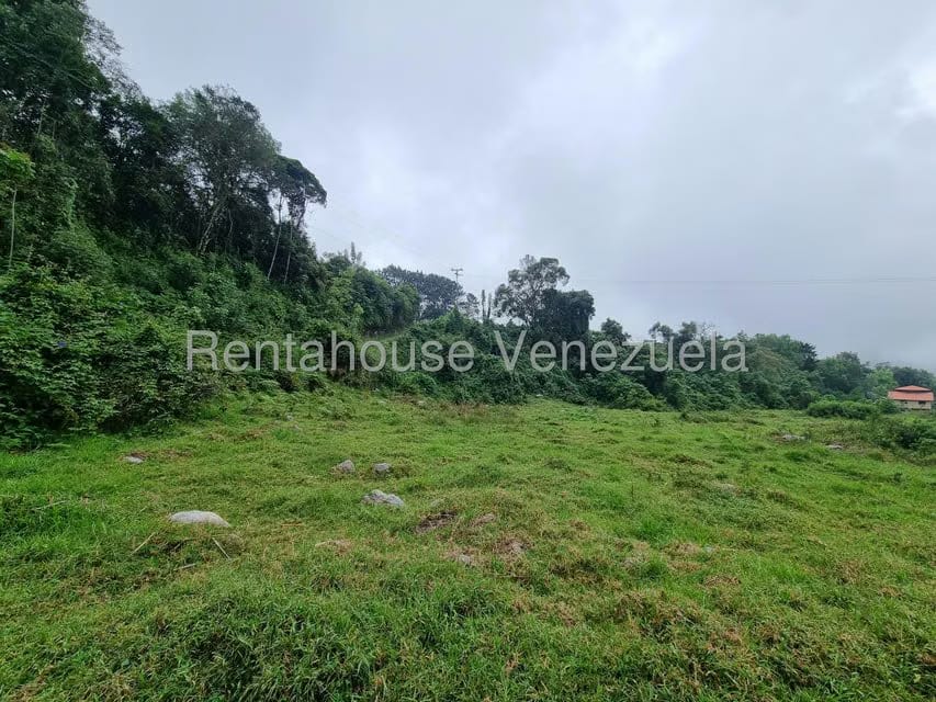 Terreno (Finca) en Venta en El Valle, Merida - 8