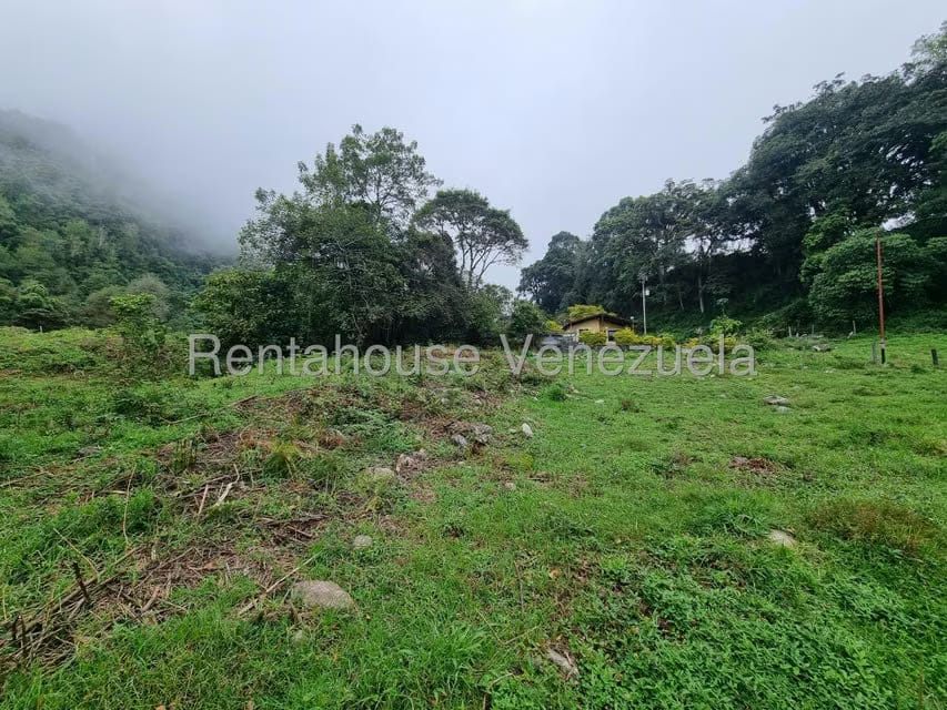 Terreno (Finca) en Venta en El Valle, Merida - 9