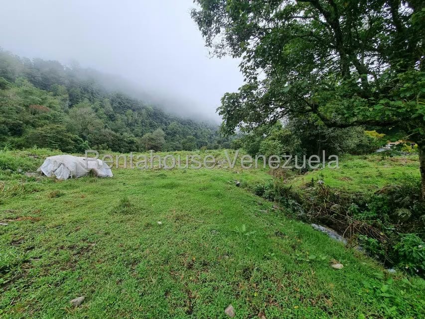 Terreno (Finca) en Venta en El Valle, Merida - 10