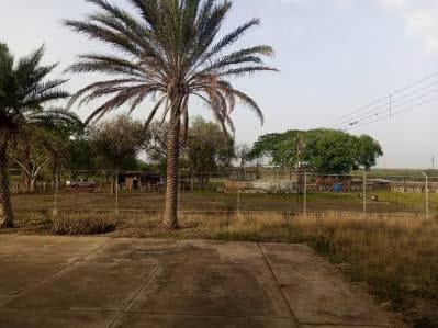 Hermosa Finca en Venta. Ubicación : San Joaquín. - 4