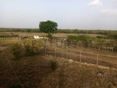 Hermosa Finca en Venta. Ubicación : San Joaquín. - 9