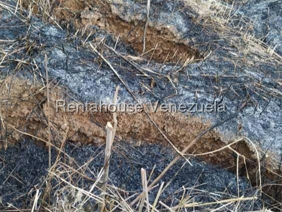 Terreno (Residencial) en Venta en Caicaguana, Distrito Metropolitano - 12