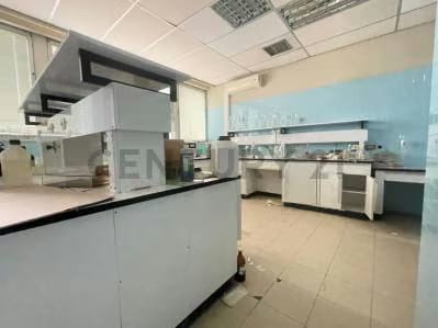 Alquilo Oficina Macaracuay 75 m² - 2