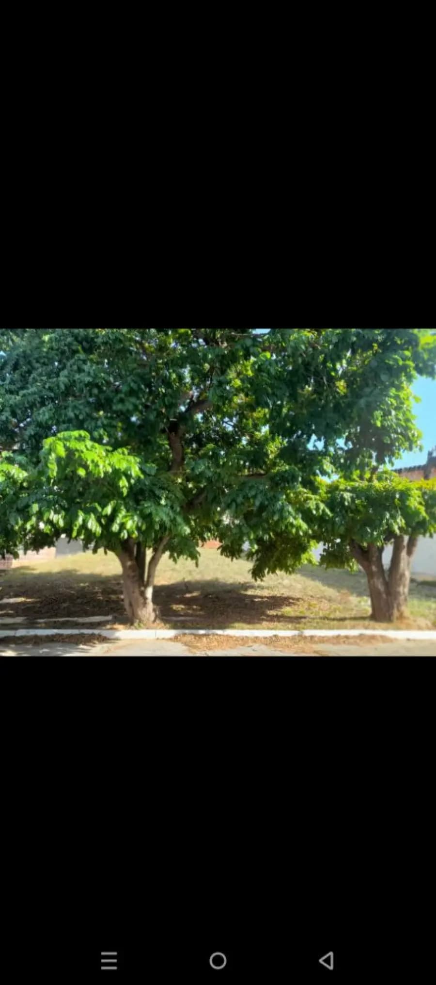 Terreno en Venta en San Jose Valencia - 8