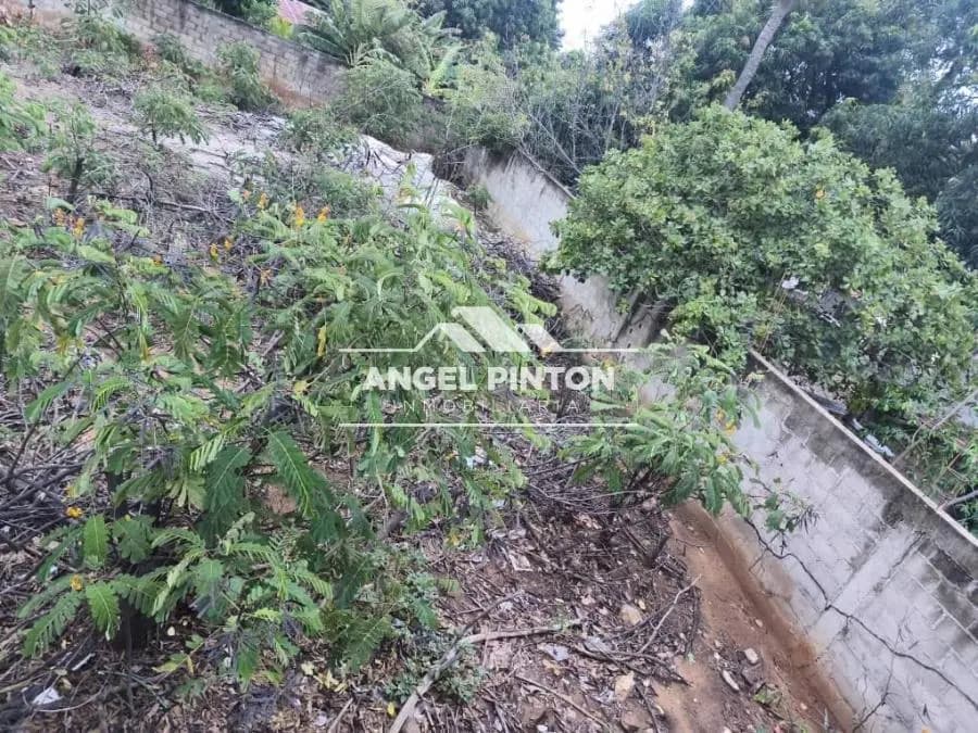 Terreno en Venta en Maracaibo - 3
