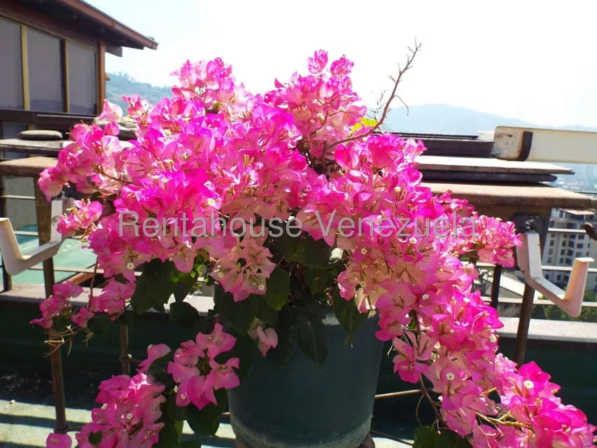 Apartamento (1 Nivel) en Alquiler en La Tahona, Distrito Metropolitano - 35