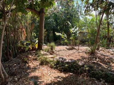 Terreno de 2.053m2 en Venta en Cerro Verde - 6