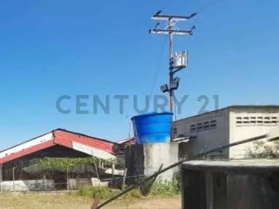 Granja Porcina en Venta con Infraestructura Completa en Lara. Am