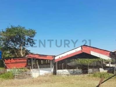 Granja Porcina en Venta con Infraestructura Completa en Lara. Am - 7