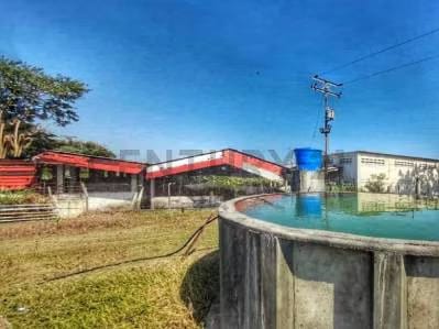 Granja Porcina en Venta con Infraestructura Completa en Lara. Am - 8