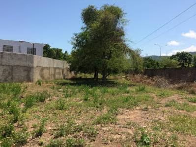 Amplio terreno perfecto para urbanismo