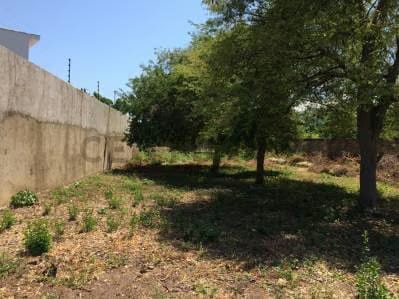 Amplio terreno perfecto para urbanismo - 4