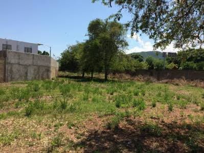 Amplio terreno perfecto para urbanismo - 6