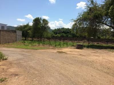 Amplio terreno perfecto para urbanismo - 7