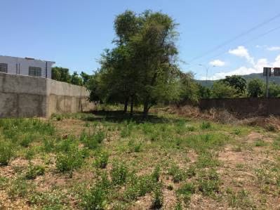 Amplio terreno perfecto para urbanismo - 8