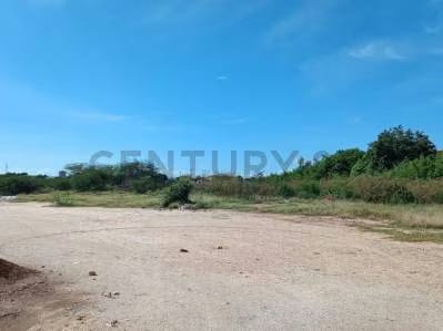 Terreno comercial en zona de alto trafico - 6