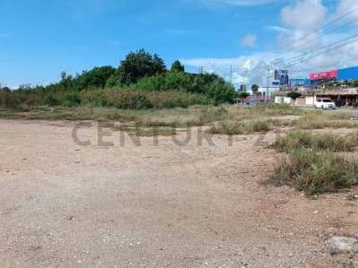 Terreno comercial en zona de alto trafico - 7