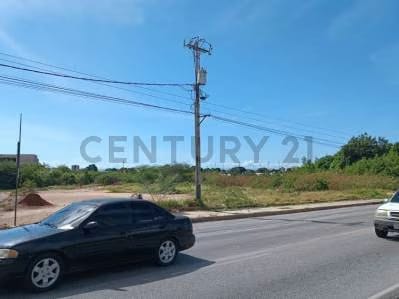 Terreno comercial en zona de alto trafico - 10