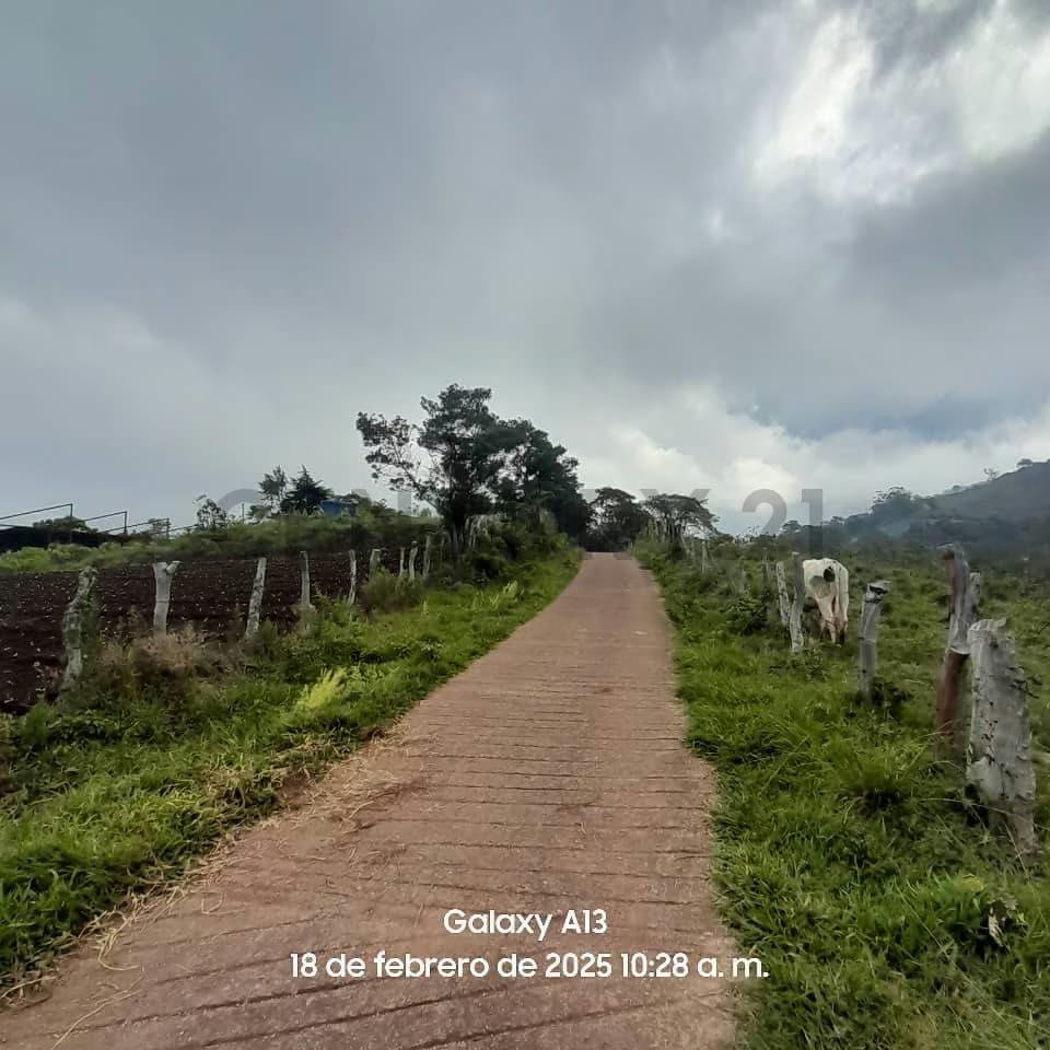 Finca Productiva en venta - 3