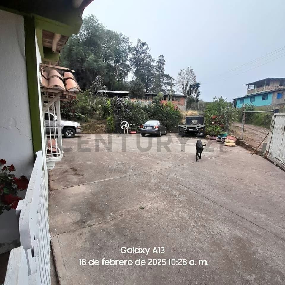 Finca Productiva en venta - 8