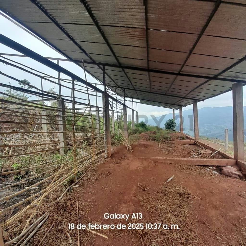 Finca Productiva en venta - 10