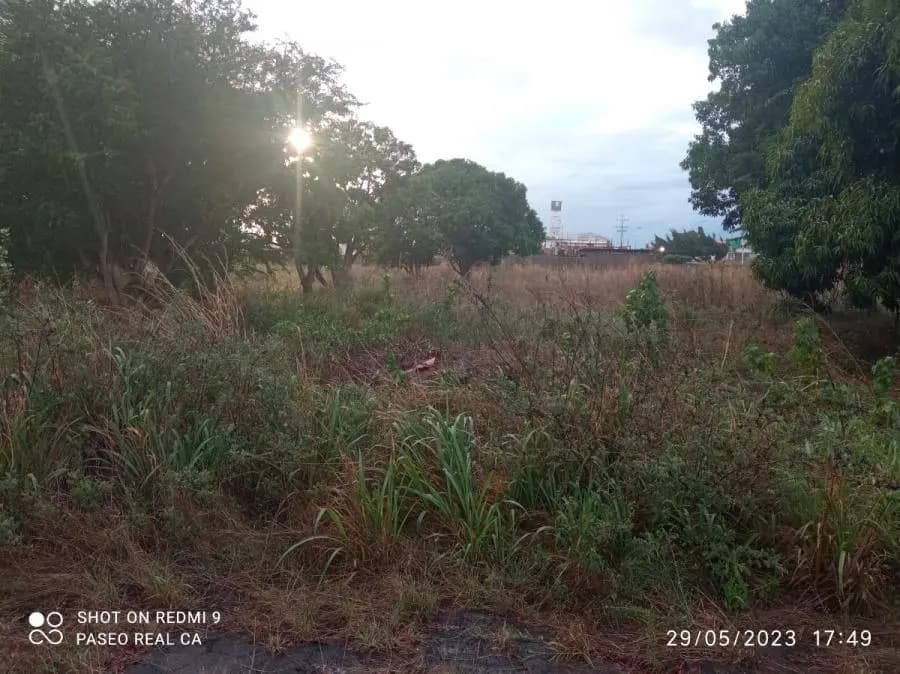 Terreno en Venta en El Tigre