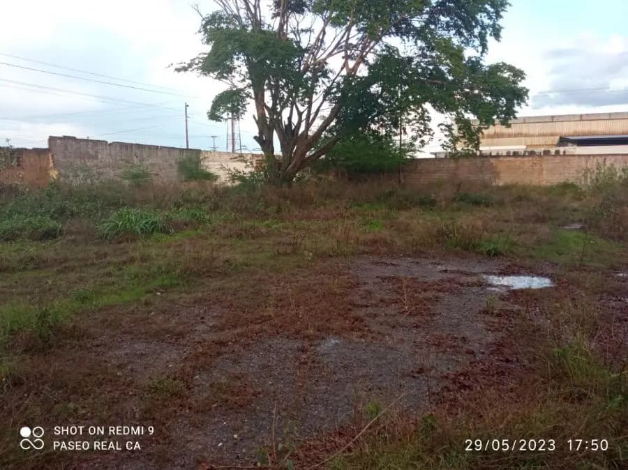 Terreno en Venta en El Tigre - 2