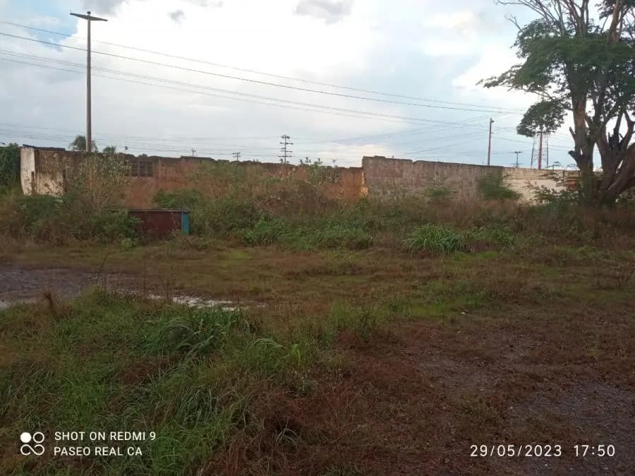 Terreno en Venta en El Tigre - 4